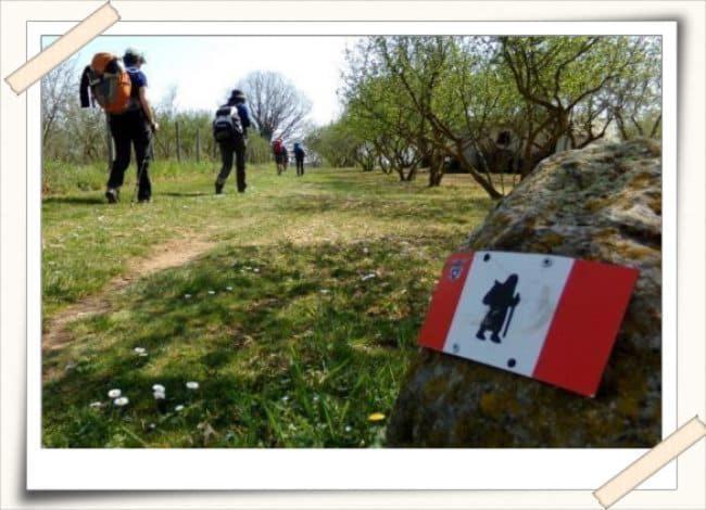 Agriturismo Il Poderetto Licciana Nardi Bagian luar foto