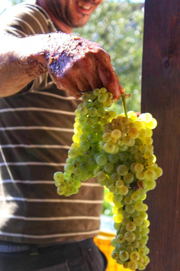 Agriturismo Il Poderetto Licciana Nardi Bagian luar foto