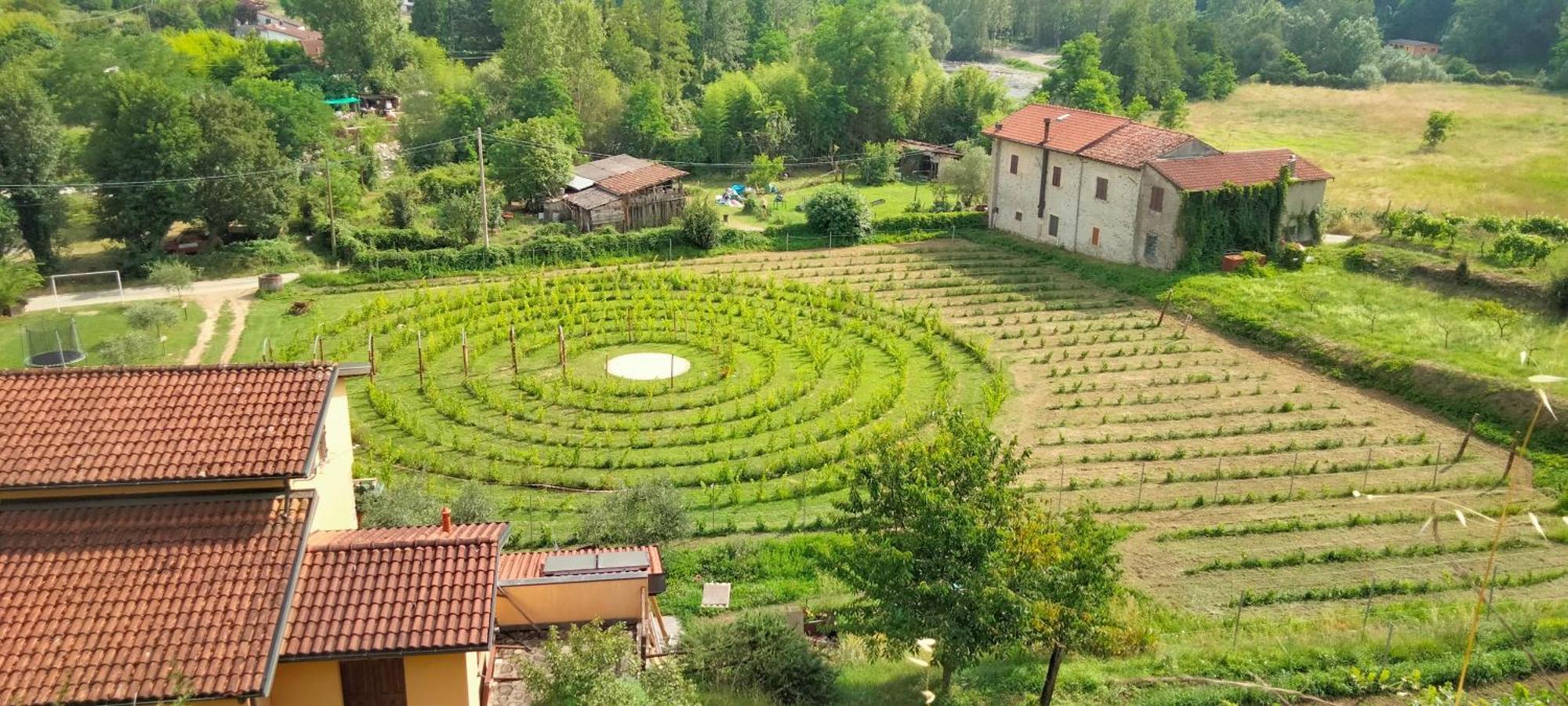 Agriturismo Il Poderetto Licciana Nardi Bagian luar foto